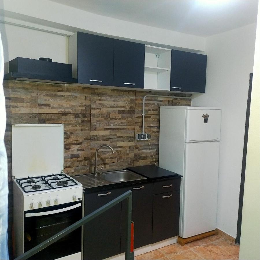Vila Elena Ap 1 Бухарест Экстерьер фото