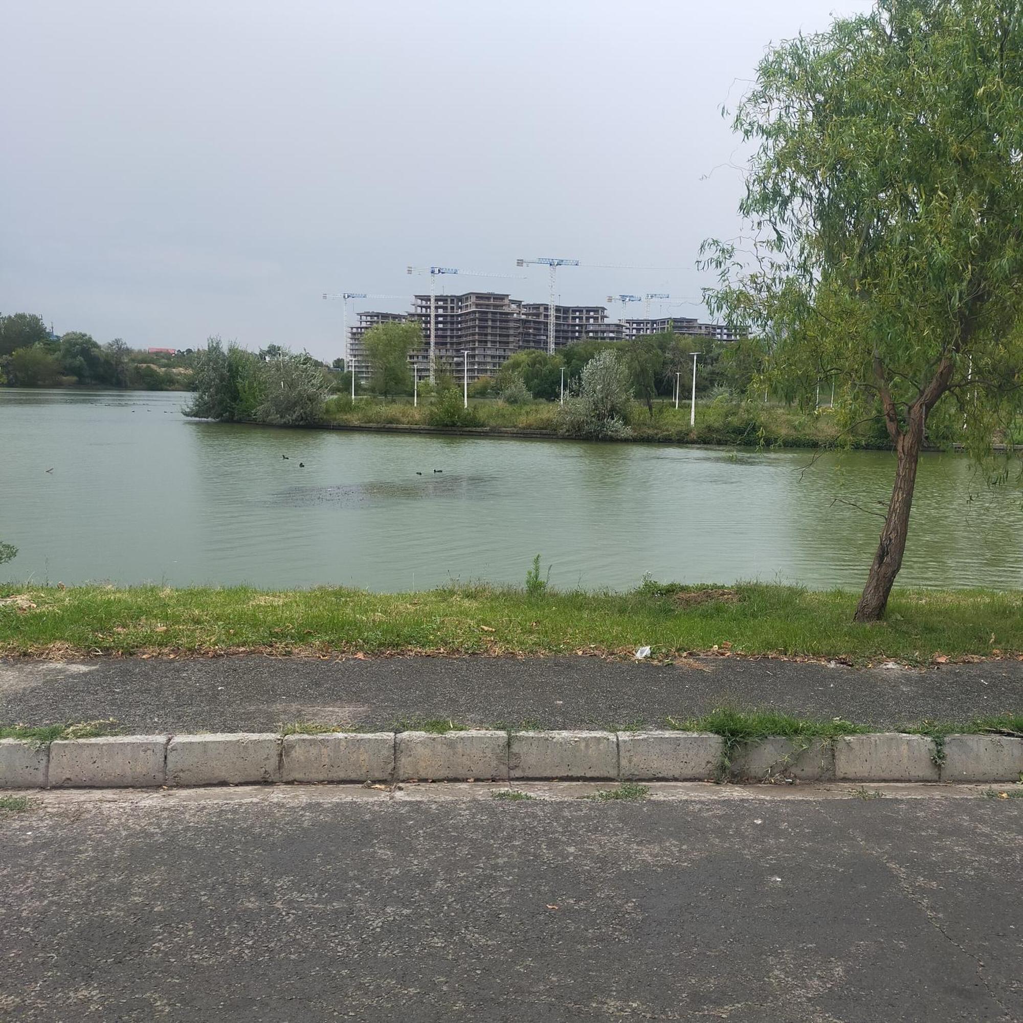 Vila Elena Ap 1 Бухарест Экстерьер фото